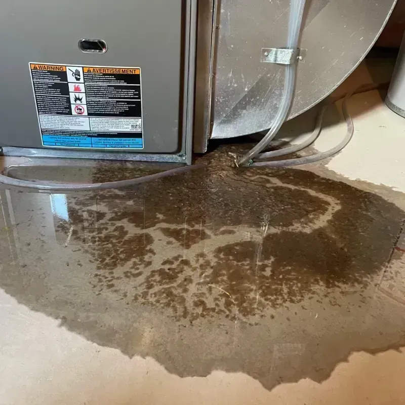 Appliance Leak Cleanup in Philippi, WV